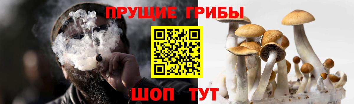 Галлюциногенные грибы ЛСД  Псилоцибиновые грибы мухоморы  Архангельск  Вход с VPN 